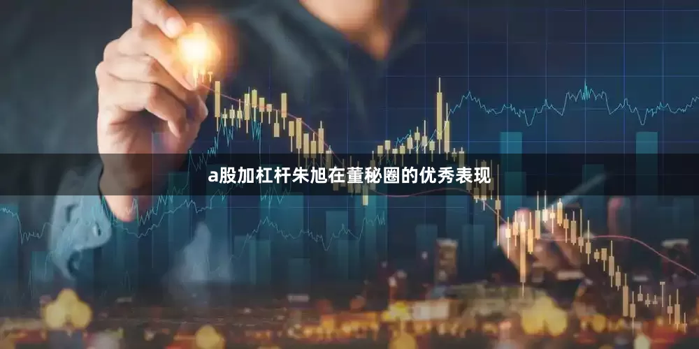 a股加杠杆朱旭在董秘圈的优秀表现