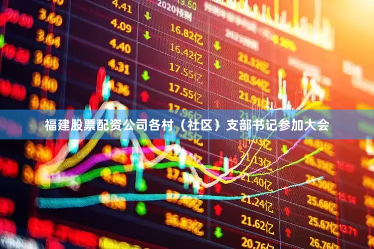 福建股票配资公司各村（社区）支部书记参加大会